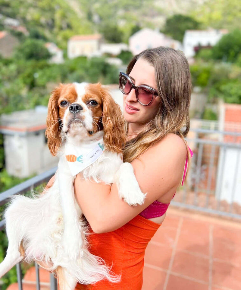 @shopwagandtail