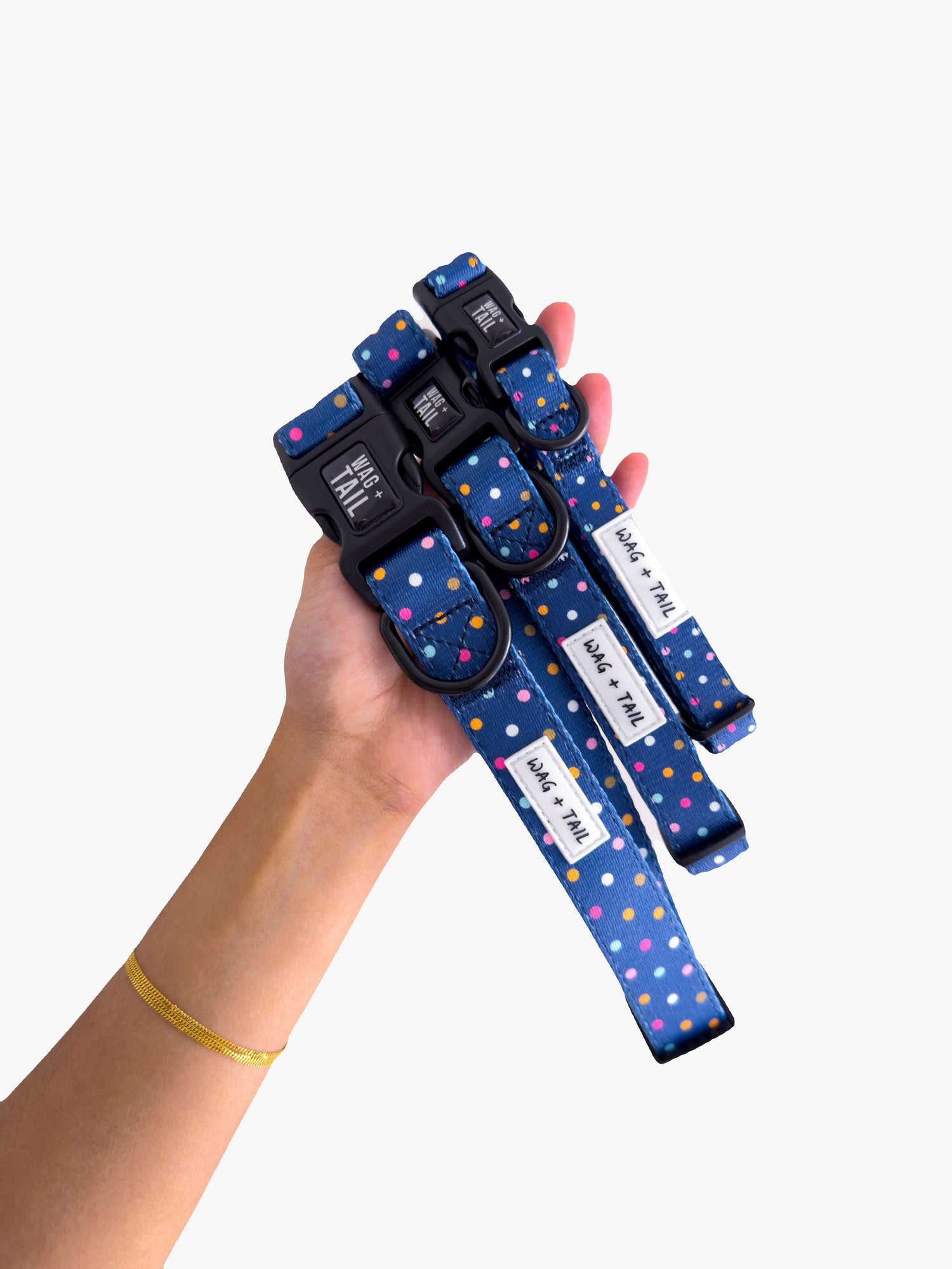 Confetti Cannon dog collar lifestyle shot showing colorful pattern collar on dog