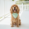 Reversible Tie-On Dog Bandanas