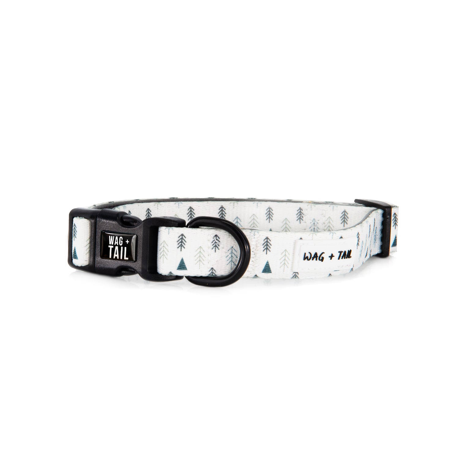 Frosted Pines dog collar lifestyle shot showing collar on dog showing fit and scale