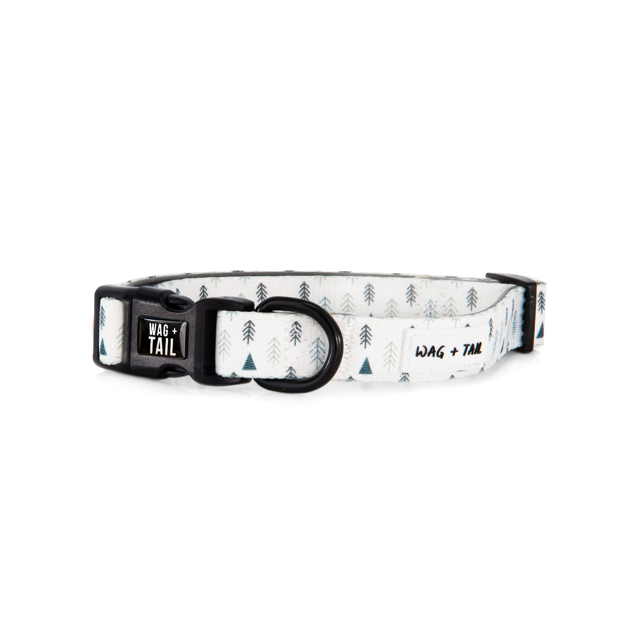 Frosted Pines dog collar lifestyle shot showing collar on dog showing fit and scale