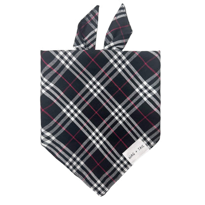 Licorice Plaid dog bandana lifestyle shot showing dark plaid bandana tied on dog