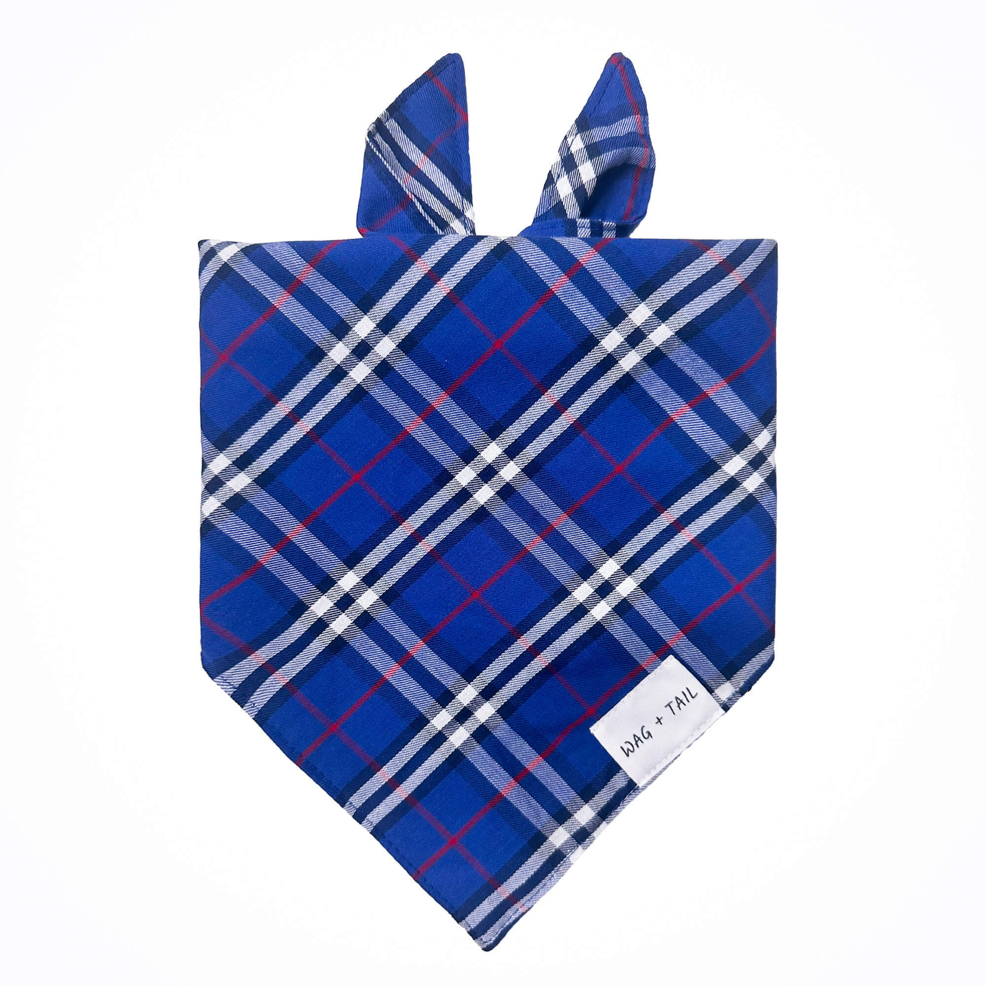 Navy Plaid dog bandana lifestyle shot showing classic navy plaid bandana on dog