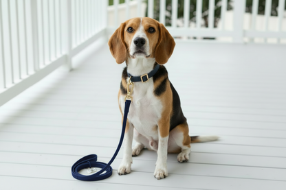 Wag + Tail Navy Blue Waterproof PVC dog leash product shot on white background