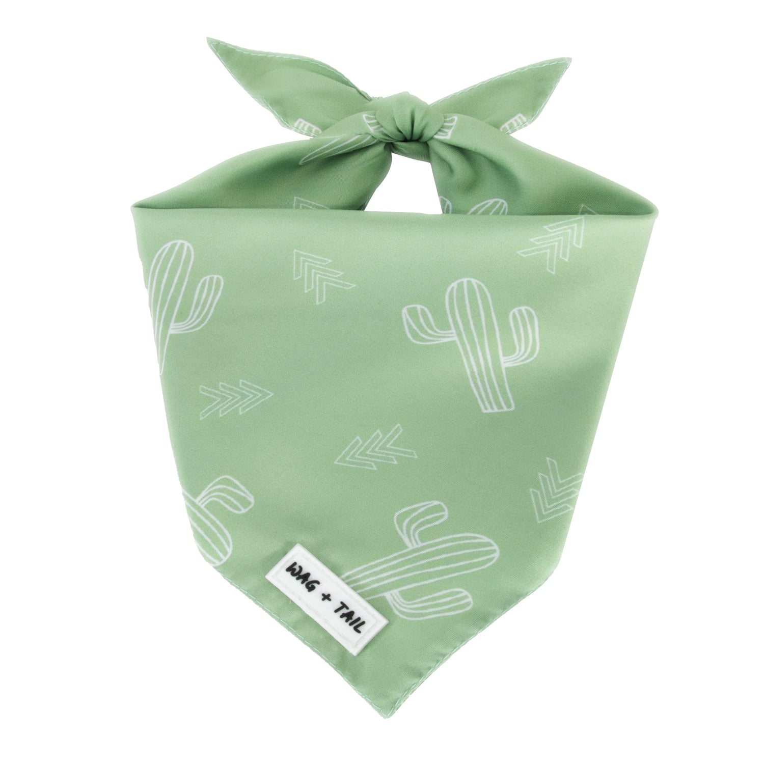 Prickly Paws reversible dog bandana lifestyle shot showing cactus print tied on dog