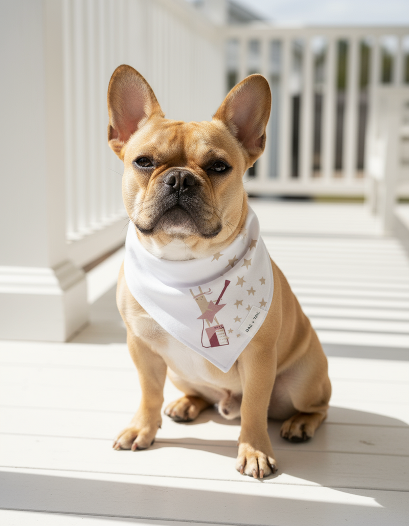 Star Print Snap-On Dog Bandana flat lay, easy button closure
