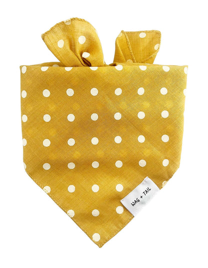 Sunshine Spot dog scarf lifestyle shot showing yellow print scarf tied on dog