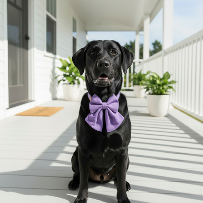 Luxe Dog Bow Tie Collar