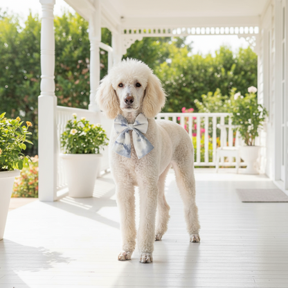 Luxe Dog Bow Tie Collar