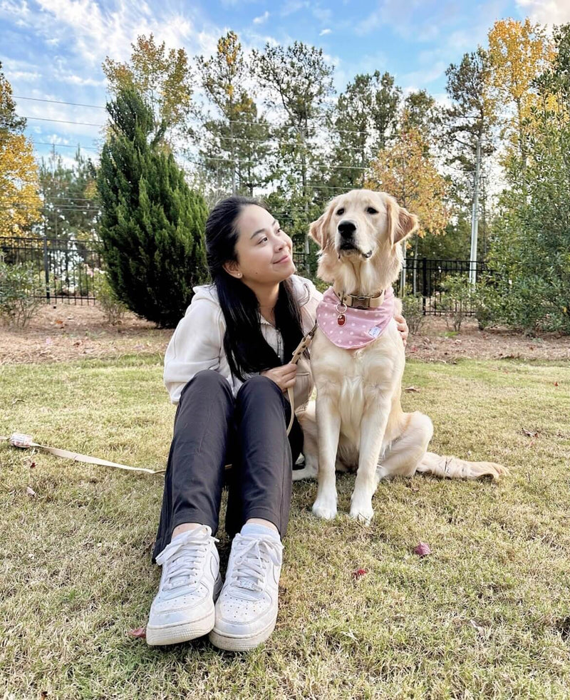@shopwagandtail